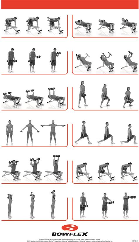 Bowflex Manuals | Bowflex | Bowflex workout, Dumbbell workout, Workout posters