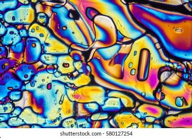 Microscopic Shot Showing Ammonium Sulfate Crystals Stock Photo ...