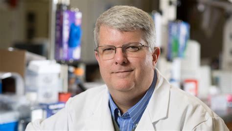 Ted Ross: We need a better influenza vaccine - UGA Research News