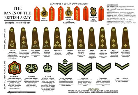 WWII Ranks Of The British Army Please note, the ranks and badges have not changed since WWII ...