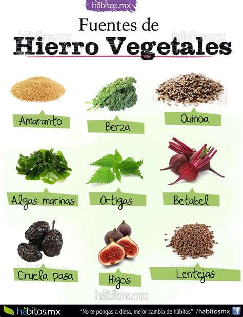 Fuentes de hierro vegetal.