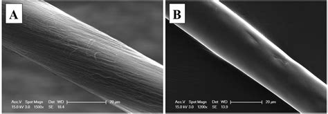 Nanomaterials | Free Full-Text | Polymer Coating of Carbon Nanotube Fibers for Electric Microcables