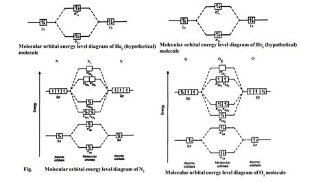 Molecular orbital energy level diagrams -Hydrogen, Hypothetical, Nitrogen, Oxygen