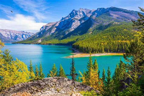 Calgary & Banff Summer Experience