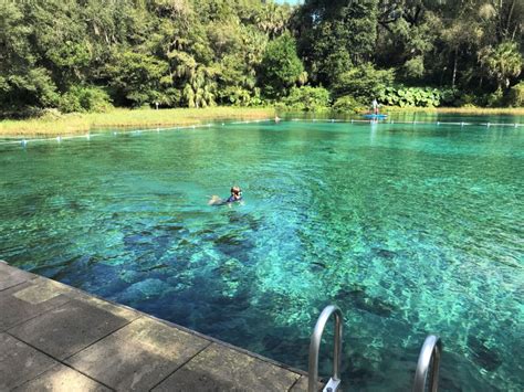 Rainbow Springs State Park: Discover Breathtaking Crystal Clear Waters - 10 Traveling Feet