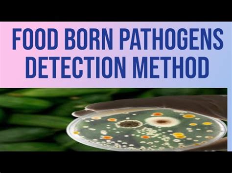 methods for food born pathogens detection// food pathogens - YouTube