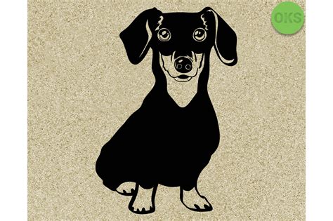 Dachshund Vector Graphic by CrafterOks · Creative Fabrica