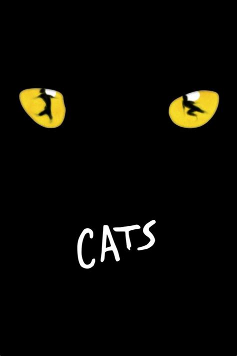 Musical Cats - Just Lia | Por Lia Camargo