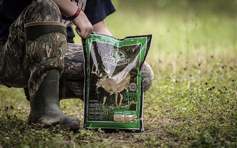 Best Food Plots for Deer of 2023 | Outdoor Life