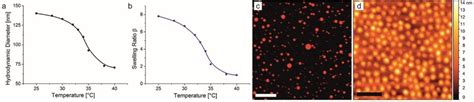 DLS of PNiPAm microgels. a) dH of the PNiPAm microgels as a function of ...