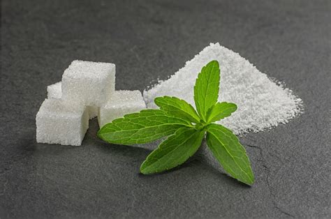 Can I Grow Stevia Indoors? | Substitutes.io