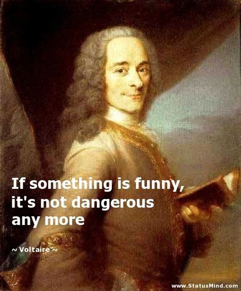 Love Voltaire ... | Voltaire quotes, Voltaire, Writers and poets