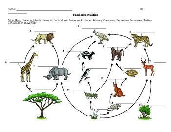 Savanna Food Web Diagram