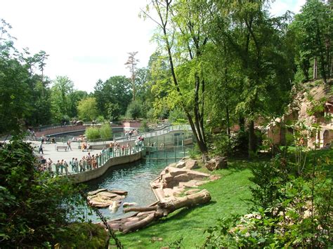 Polar Bear and Pinniped enclosures at Nuremberg Zoo 2006 - ZooChat