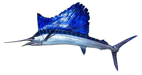 Sailfish: Amazing Abilities, Fast Swimmer, Fun Facts, Habitat & FAQ