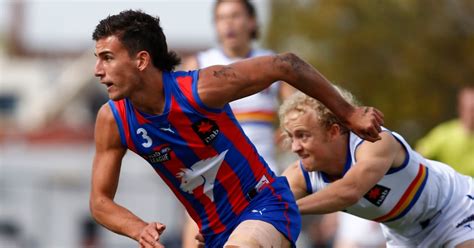 Nick Daicos highlights: Son-of-a-gun Magpie dazzles with sublime skills