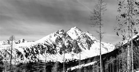 Snowy Mountain View in Monochrome Photo · Free Stock Photo