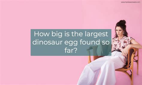 How big is the largest dinosaur egg found so far?