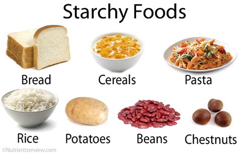 Fat clipart starch, Picture #2685867 fat clipart starch