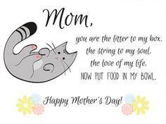 Happy Mother's Day from your Kitty | Cat mom quotes, Mothers day poems, Cat care