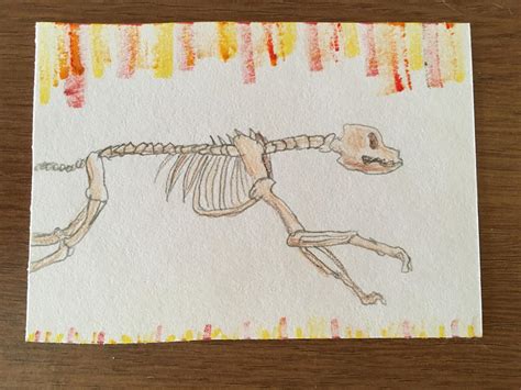 Skeleton Dog by GeneralWildfire on DeviantArt