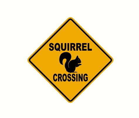 Squirrel crossing mini road sign funny decal sticker | Etsy