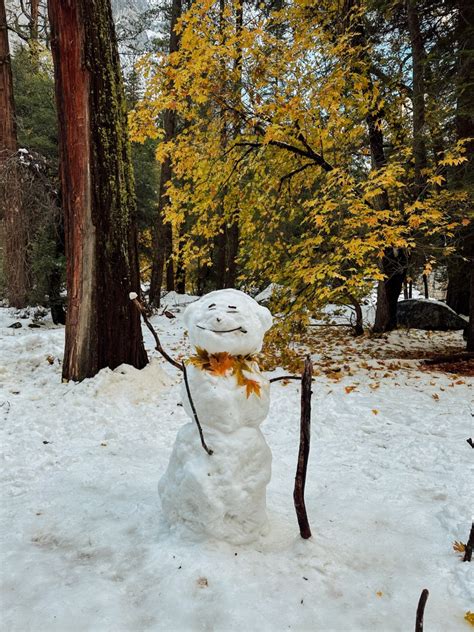 Camping in Yosemite & Why You Should Visit During Winter - A Travelers ...