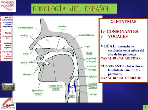 Café Literario - El Aroma de las Letras: Fonemas consonánticos y ...