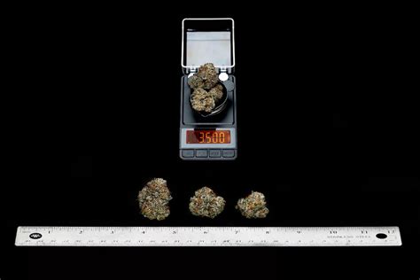 How Much is a Gram of Weed? - Cannabis Seeds | Humboldt Seed Company