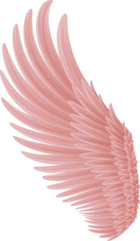 Abstract Angel Wings