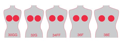 Germany Bra Size Chart