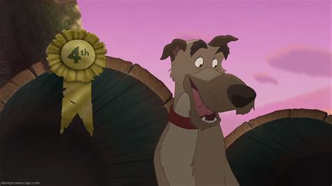 Chief (The Fox and the Hound) | Disney Fan Fiction Wiki | FANDOM powered by Wikia