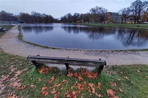 In photos: a wet, grey, autumnal stroll around Clapham Common, Nov 2020