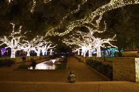 Zoo Lights at Houston Zoo! | Greater Houston Moms