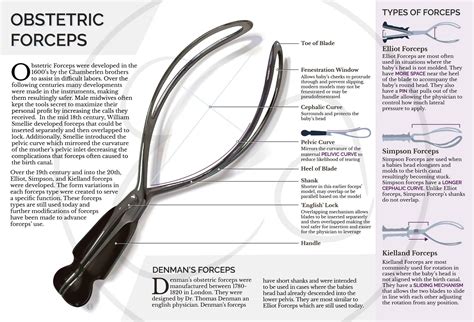 Obstetric Forceps Informational Poster and Realistic Vector ...