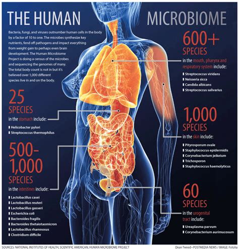 Home is Where Your Microbes Are | Nutrition Review