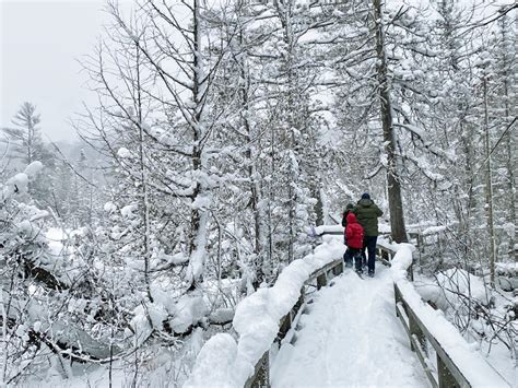 2024 Winter Activities in Michigan: Ski Resorts, Snow Tubing, Ice Skating & More