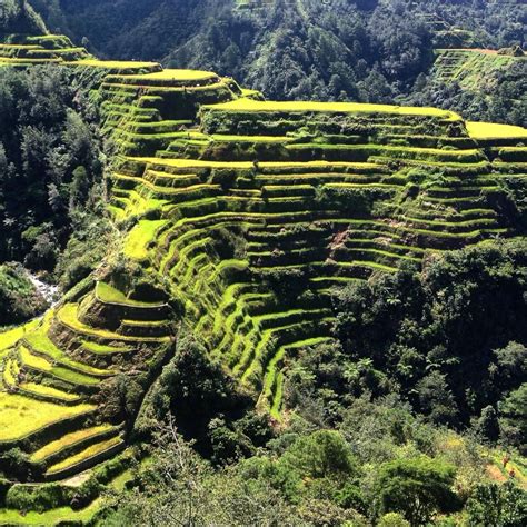 Banaue Rice Terraces - Nehru Memorial