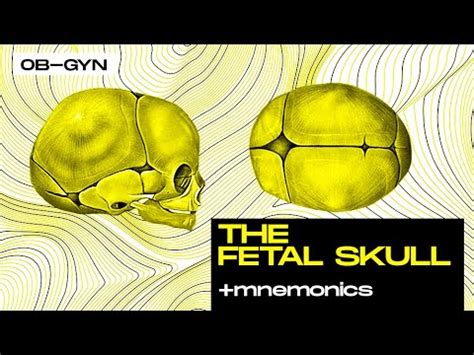 [Obstetrics] The Fetal Skull (Bones, Sutures, Fontanelles, Areas and Diameters) + Mnemonics ...