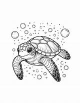 Free Cute Sea Turtle Coloring Pages sketch template