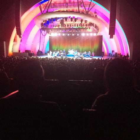 Seven Things You Will See At Steely Dan Concerts This Summer