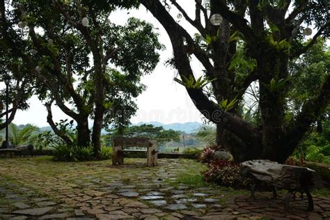 Caleruega Garden Area in Nasugbu, Batangas, Philippines Editorial Image ...