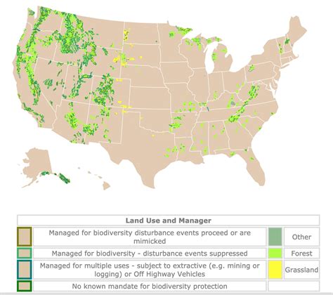 National Forest Service Maps - Olva Tommie