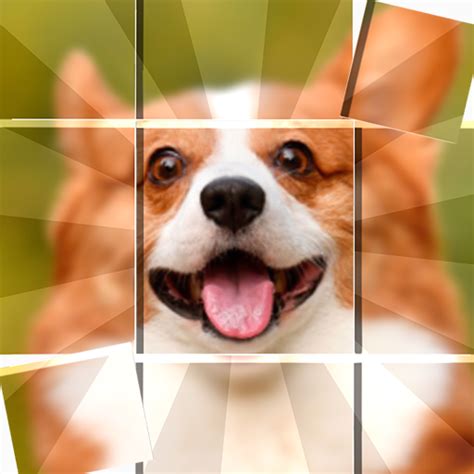 Jigsaw Puzzles - Jigsort Game - Apps on Google Play