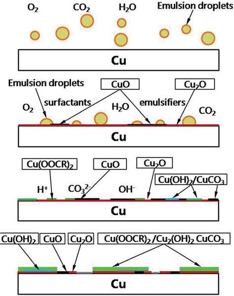 Corrosion Mechanism Of Copper Immersed In Ammonium Sulfate, 58% OFF