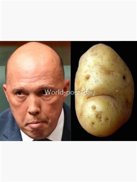 "Potato peter dutton- funny peter dutton meme potatohead" Sticker by ...