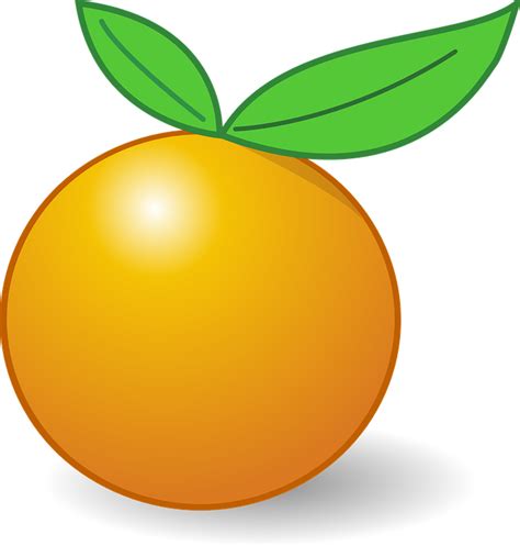 Orange Buah Daun · Free vector graphic on Pixabay