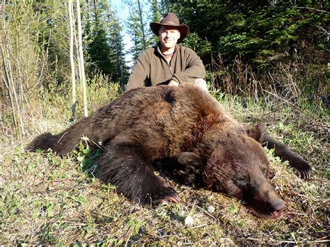 BC Grizzly Hunts - Grizzly Bear Hunting in British Columbia, Canada