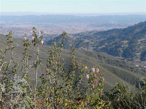 Weather - The California Chaparral