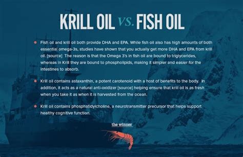 Krill Oil vs Fish Oil: What You Need to Know - Onnit Academy